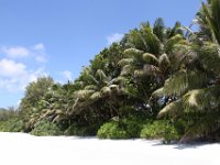 Seychellen-8